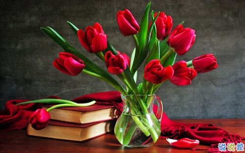 2019關于春分的微信說說帶圖片 春分節(jié)氣早安祝福語12