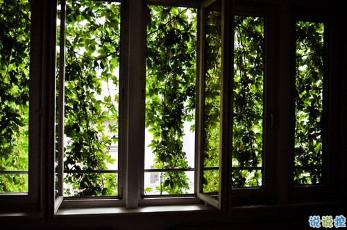 很經(jīng)典的英文說說帶翻譯有配圖 英文心情說說大全7