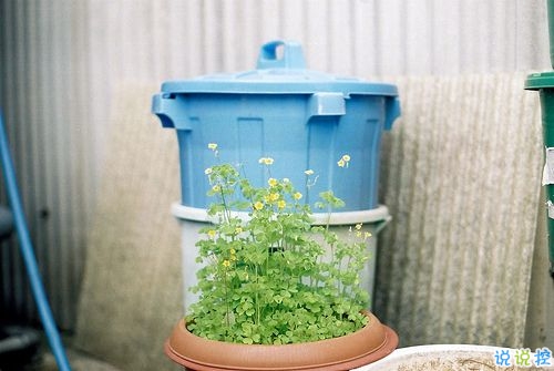 一句話(huà)讓女朋友炸毛 女生聽(tīng)了瞬間生氣的句子合集4