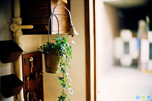 感悟人生的正能量句子帶圖片 你走過的彎路都是通向正軌的必經(jīng)之路13