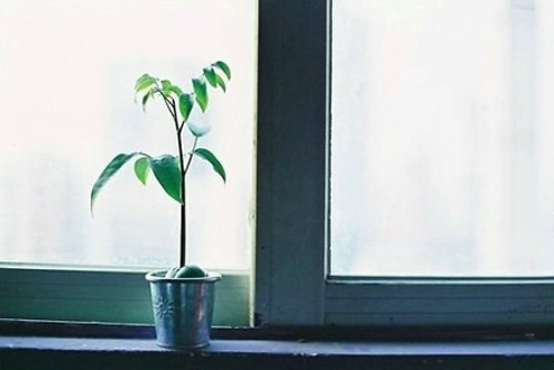 有哪些詩歌讀到后心里像開出了一朵花？1