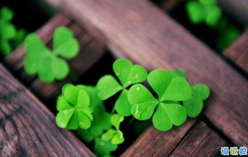 2019年二月你好早安朋友圈說說 再見一月你好二月唯美說說配圖1