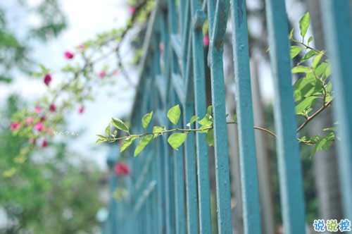 青春年少慢慢成長變得成熟的個(gè)性說說帶圖片 2018很經(jīng)典的成熟個(gè)性說說1