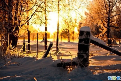 青春文藝說說帶圖片大全唯美 感情經得起風雨也要經得起平凡3
