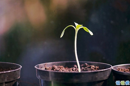 2019朋友圈經(jīng)典說說大全 人生路上這些道理你必須懂得2