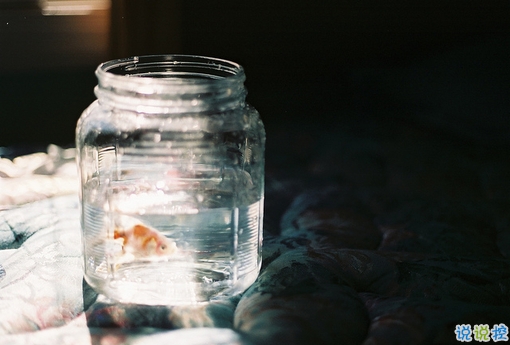 很真實(shí)的愛(ài)情感悟帶圖片 深有感觸的經(jīng)典愛(ài)情說(shuō)說(shuō)配圖3