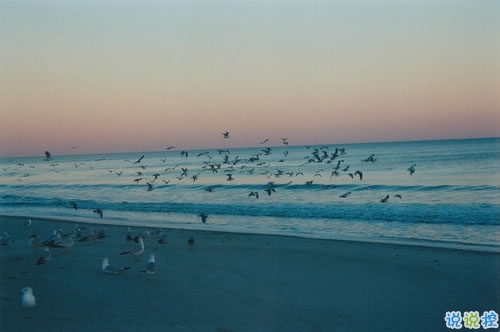 簡(jiǎn)單而又唯美有哲理的英文說(shuō)說(shuō)帶圖片 你醒在別人的夢(mèng)里14