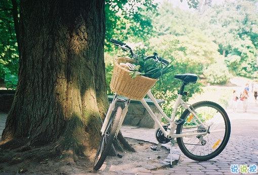 一個人獨處時的孤獨寂寞的說說帶圖片 你有看過凌晨三點的星星嗎8
