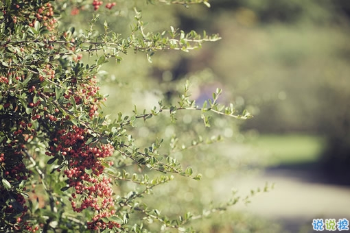 再見十月你好十一月個性說說帶圖片 11月請對我好一點心情說說2