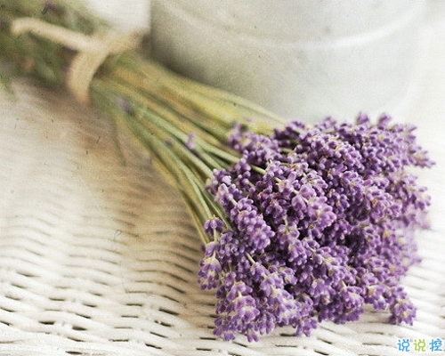 優(yōu)美說說唯美的句子配圖：海底月是天上月，只是鏡花水月10