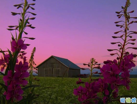 微信朋友圈可愛(ài)句子配圖 女生朋友圈俏皮可愛(ài)的愛(ài)情句子帶圖片4