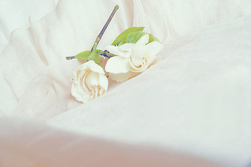 有哪些詩歌讀到后心里像開出了一朵花？6