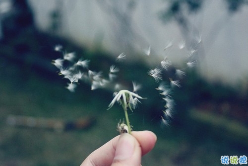 痛到心碎的傷感說說配圖 生活很現(xiàn)實的傷感說說9