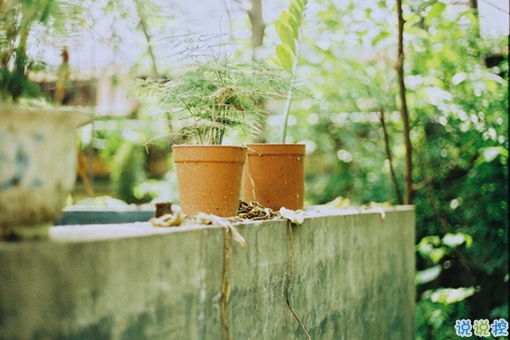 成長(zhǎng)青春治愈系句子帶圖片 很暖心的治愈系說(shuō)說(shuō)簡(jiǎn)短一句話15