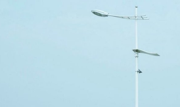 關(guān)于愛(ài)情和喜歡一個(gè)人的心事的經(jīng)典圖片說(shuō)說(shuō)13