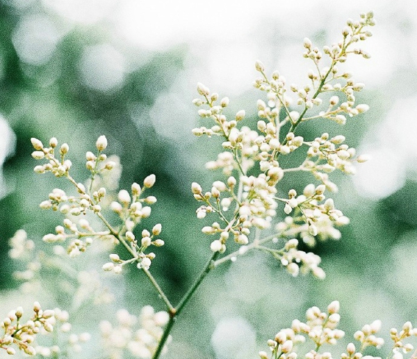 關(guān)于一個人旅行的精辟哲理說說帶圖片 每一次旅行其實都是一場修行2