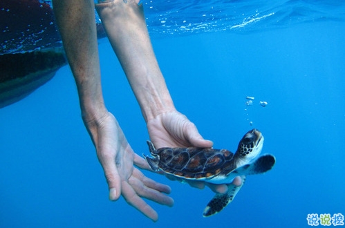 刺痛內(nèi)心的傷感說(shuō)說(shuō)帶圖片 2019最新失落傷感的句子合集12