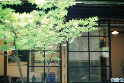 很特別的微信說(shuō)說(shuō)帶圖片獨(dú)一無(wú)二 15條值得收藏的經(jīng)典句子13