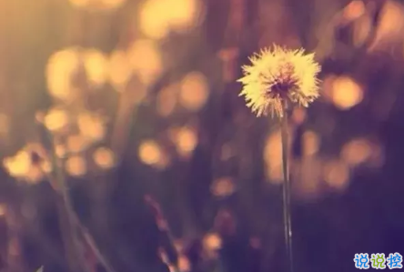 2019送給自己的一句話勵(lì)志 新的開始送給自己的一句話簡(jiǎn)短2