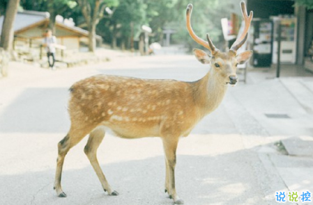 表示無聊的朋友圈說說帶圖片：無聊，是人生的一種正?，F(xiàn)象1