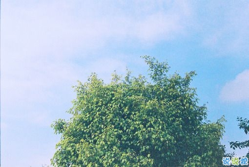 唯美簡單的愛情說說帶圖片 去見你想見的人吧6