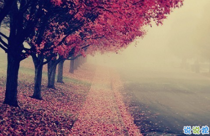 最火情侶說說秀恩愛短句帶圖片 超級喜歡一個人的說說9