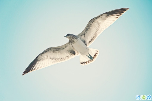 治愈系個(gè)性唯美說(shuō)說(shuō)帶圖片 2018朋友圈很火的唯美文藝說(shuō)說(shuō)配圖12