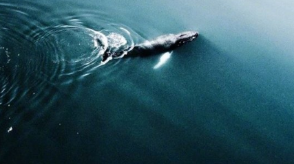 忽而夏至的悲傷日記的傷感說(shuō)說(shuō)配圖 你最美的青春都在陪他吃苦3