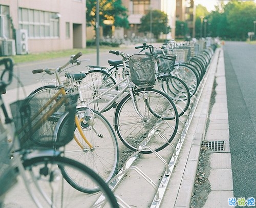 大學(xué)生必看的搞笑暖心情話 不同系別的學(xué)霸怎么表白8