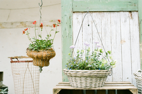 甜蜜浪漫情話(huà)只想說(shuō)給你聽(tīng)的說(shuō)說(shuō)帶圖片 想化作一陣風(fēng)輕柔的撫過(guò)你6