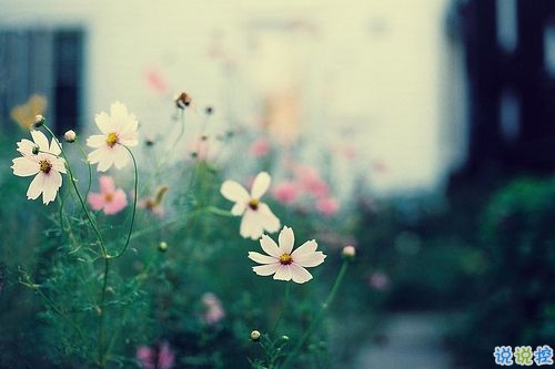 適合中小學(xué)生發(fā)的傷感說(shuō)說(shuō) 00后專屬傷感說(shuō)說(shuō)大全1