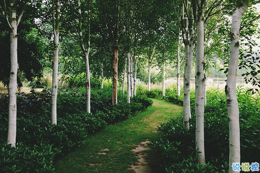 可以發(fā)朋友圈的早安勵志心語大全2018 很經(jīng)典的勵志說說帶圖片9