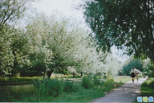 簡單唯美的一句話圖片說說有道理的那種 生活需要一點詩意2