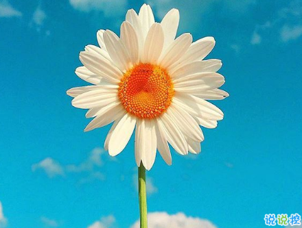 對愛情徹底死心的傷感說說2018 一句話讓人瞬間落淚的愛情說說1