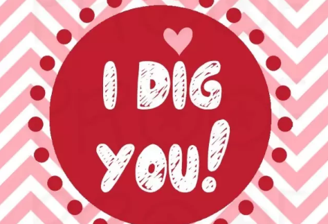 很甜很撩人的表白的英文句子 適合情人節(jié)表白的高逼格英文句子2