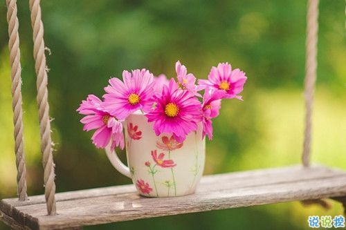 春天賞花的詩句唯美動(dòng)聽 2019春天賞花踏青詩句合集1