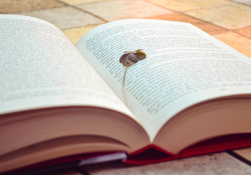 痛徹心扉的傷感愛(ài)情說(shuō)說(shuō)帶圖片 我在每個(gè)下雨天想起你5