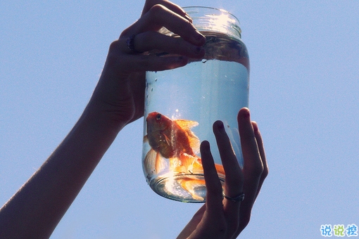 值得收藏的人生大道理勵志說說帶圖片 好聽的激勵人心的說說配圖1