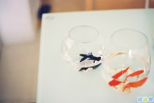 越看越想哭的專屬傷感說(shuō)說(shuō)精選帶圖片 傷了累了倦了不愛(ài)了的男生說(shuō)說(shuō)10