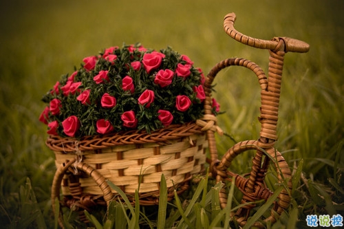 獨(dú)一無(wú)二朋友圈個(gè)性說(shuō)說(shuō)帶圖片 感謝相識(shí)不計(jì)消失回頭是狗3