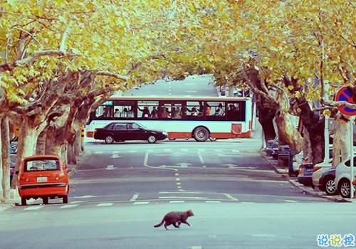 qq個(gè)性說說帶圖片有點(diǎn)憂傷 晚安無奈傷感說說11