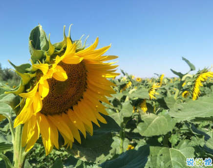 2018九月你好唯美經(jīng)典說(shuō)說(shuō)精選 八月再見九月你好明天會(huì)更好1