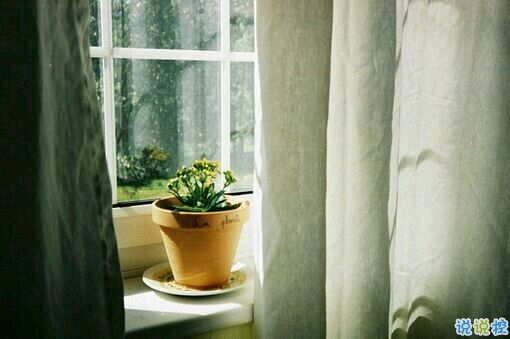 突然不喜歡一個(gè)人/放棄一個(gè)人是一種什么樣的感受？11