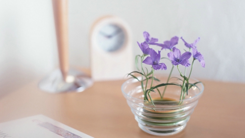 甜蜜浪漫情話(huà)只想說(shuō)給你聽(tīng)的說(shuō)說(shuō)帶圖片 想化作一陣風(fēng)輕柔的撫過(guò)你14