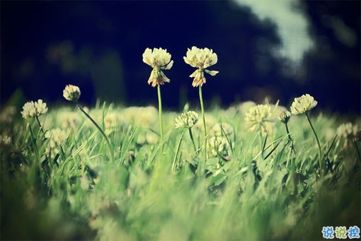 簡單美好的個(gè)性說說超級(jí)暖心 2019請(qǐng)多指教2