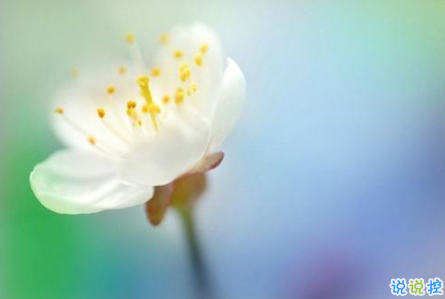 適合這個年紀(jì)發(fā)的說說朋友圈 簡單又走心的心情說說引人共鳴2