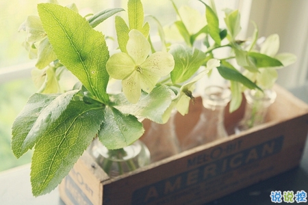 吸引人的愛情經(jīng)典說說發(fā)朋友圈 愛情真理說說心情句子2