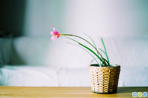 女生唯美傷感說(shuō)說(shuō)帶圖片 一句話描述心情不好的說(shuō)說(shuō)6