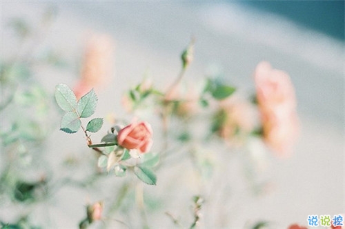 2018微博上很火的傷感愛(ài)情說(shuō)說(shuō)帶圖片 特別傷感難過(guò)到想哭的傷感說(shuō)說(shuō)3