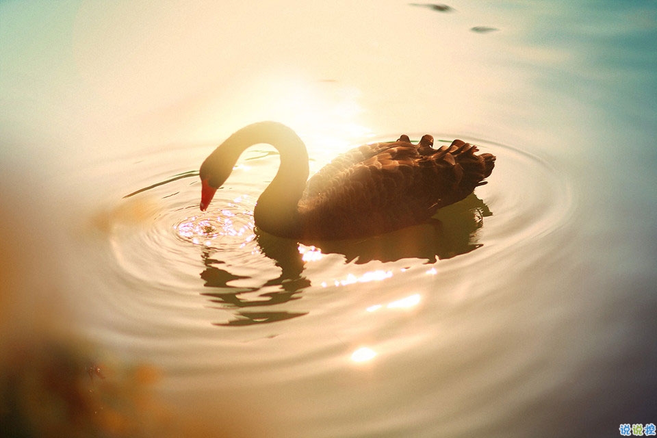 抖音最火曬結(jié)婚證的說說 2019領(lǐng)結(jié)婚證的朋友圈文藝簡短1